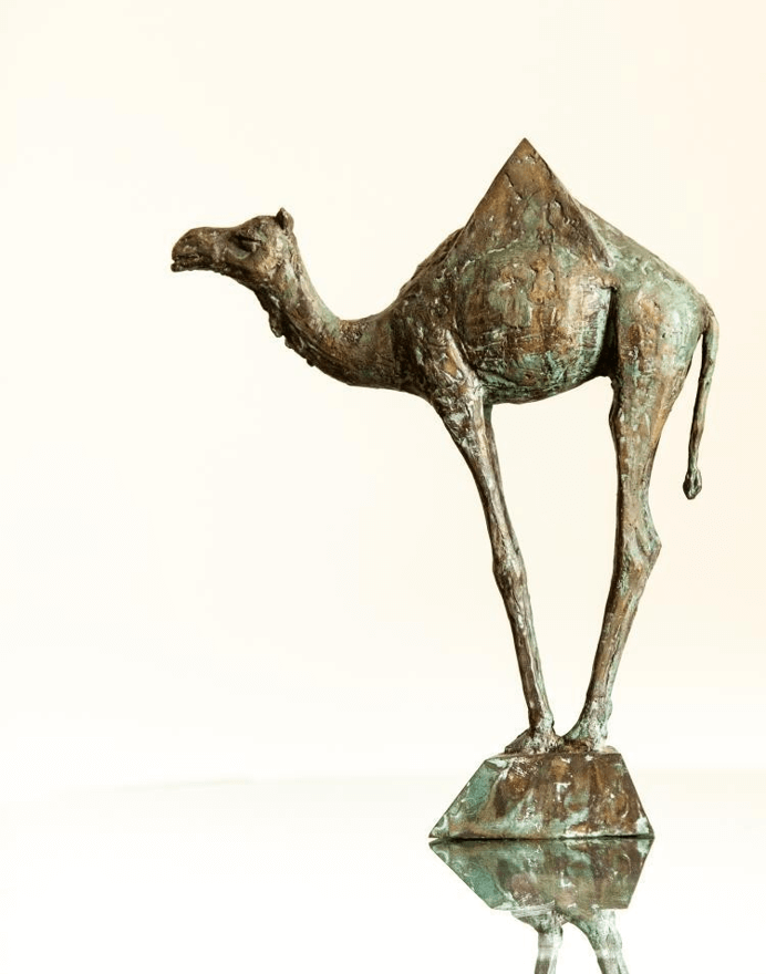 Rafael Manukyan, Camel, 2017